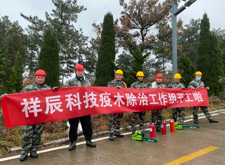 長(zhǎng)島縣松材線(xiàn)蟲(chóng)病疫木除治